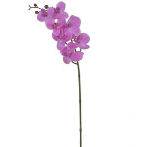 Haste Flor Orquídea Phalaenopsis Real Toque C-coat X7 73cm