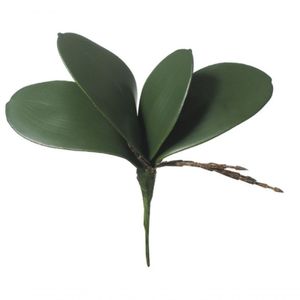 Folha Orquidea Phalaenopsis C-arame X4 Verde 18cm