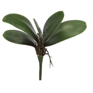 Folha Orquidea C-arame Phalaenopsis C-powder X5 Verde 22cm