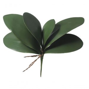 Folha Orquidea Phalaenopsis C-arame X6 (verde) 33cm