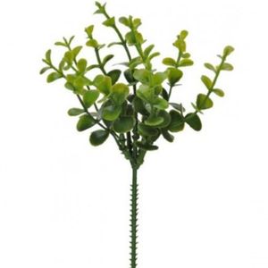 Folha Pick Eucalipto C-print Plt Verde 2t 23cm