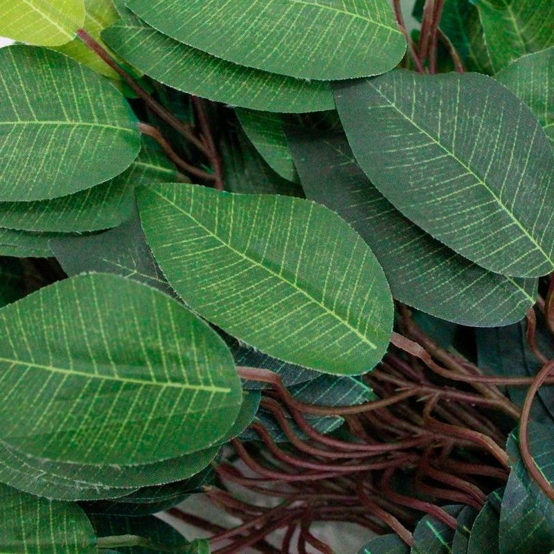MKP005207005138-2