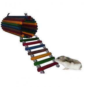 Brinquedo Aves Roedores Playground Toca Casinha Ponte Escada