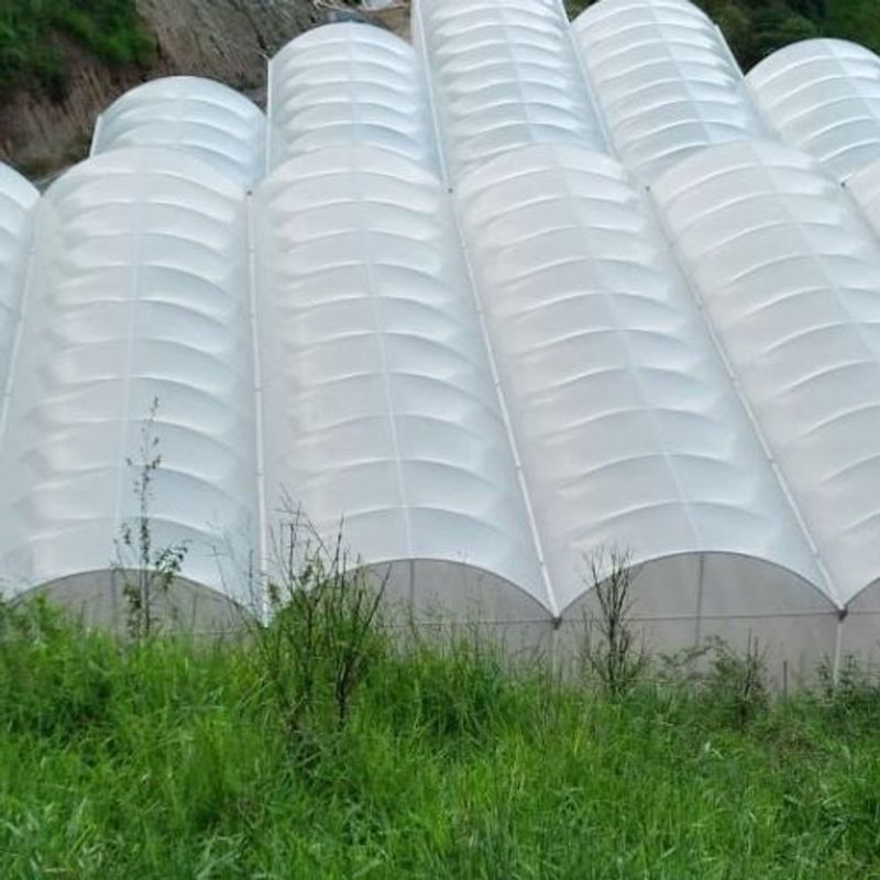 MKP002247000821-5