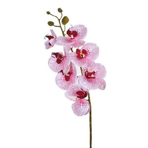 Haste Orquídea 3d X7 Rosa Branco 46403-047