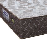 MKP002647005452-4