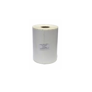 Etiqueta Adesiva Térmica Zebra Ecommerce 100X150Mm