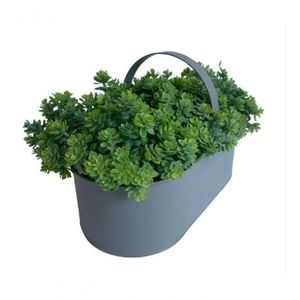 Ramalhete De Mini Suculentas Pick X6 21cm Cor Verde