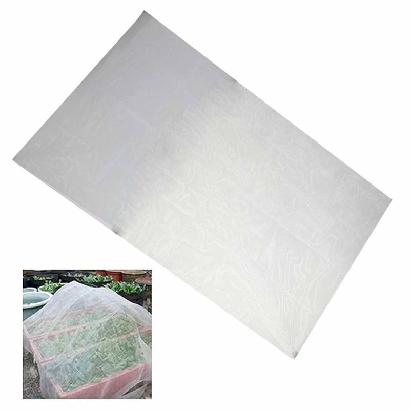 MKP002025002615-1