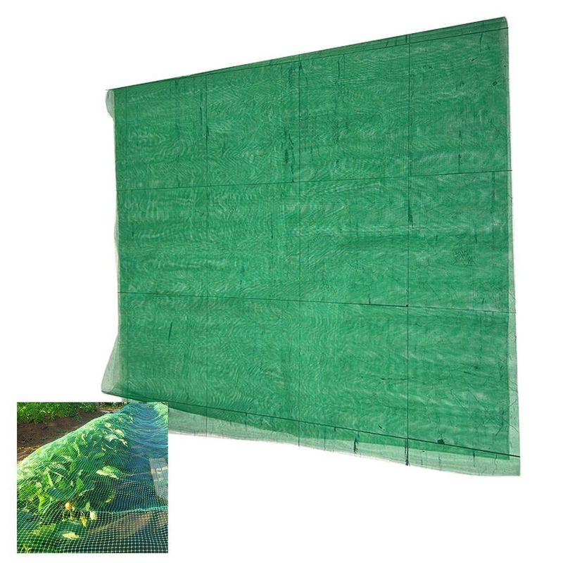 MKP002025002616-1