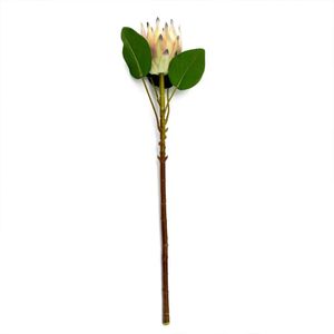 Haste De Flor Artificial Protea Frosted Com Coat Salmão 70 Cm F04 - D'rossi