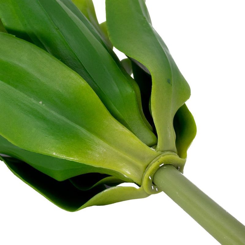 MKP000925039944-3