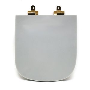 Assento Sanitário Poliéster Para Louça Quadra-unic-axis (deca) Slow Close Red Gold Cinza Fosco