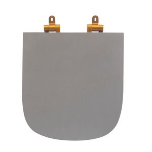 Assento Sanitário Poliéster Para Louça Quadra-unic-axis (deca) Slow Close Gold Cinza Fosco