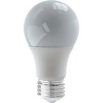 MKP005539000392-1