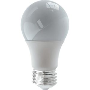 Lâmpada Bulbo Led 12w 6500k E27 Bivolt Luminatti