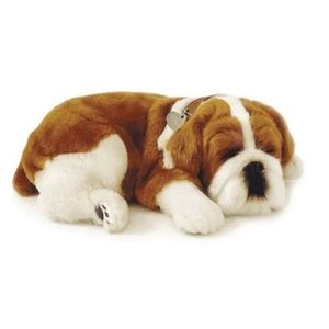 Brinquedo De Pelúcia Que Respira Perfect Petzzz Acompanha Pilha Buldog