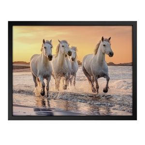 Quadro 60cm X 80cm Quatro Cavalos Brancos Tropical Artes Preto