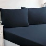 MKP005586001500-2