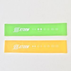 Kit 2 Faixas Elásticas Mini Band Z Storm Ahead Sports