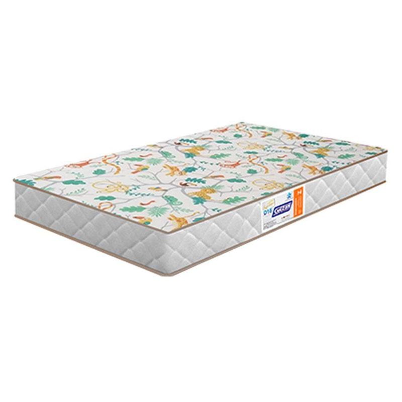 MKP005600006976-6