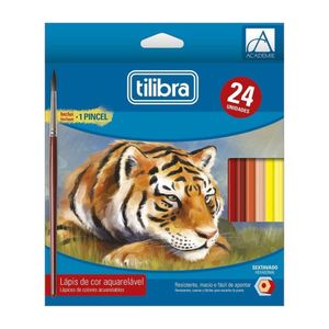 Lápis De Cor Tilibra Aquarelável 24 Cores
