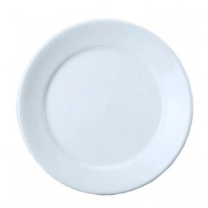 Kit De 40 Prato Raso Porcelana 24,5 Cm Bar Hotel Germer