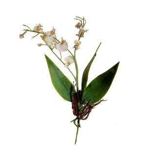 Planta Mini Cattleya Artificial Branca 34 Cm - D'rossi