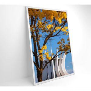 Quadro Ipê Amarelo Catedral Ao Fundo Medidas 40x60 Cm Tipo De Impressão Vidro Acrílico