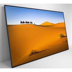 Quadro Camelos Deserto Saara Medidas 120x80 Cm Tipo De Impressão Vidro Acrílico