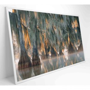 Quadro árvores De Ciprestes No Lago Martin Medidas 90x60 Cm Impressão Adesivo Fotográfico
