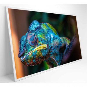 Quadro Camaleão Cores Vibrantes Medidas 120x80 Cm Impressão Tecido Canvas