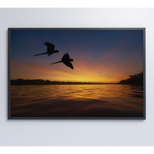 Quadro Por Do Sol No Pantanal Medidas 60x40 Cm Impressão Adesivo Fotográfico
