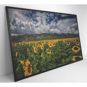 Quadro Campo De Girassóis Medidas 120x80 Cm Impressão Adesivo Fotográfico
