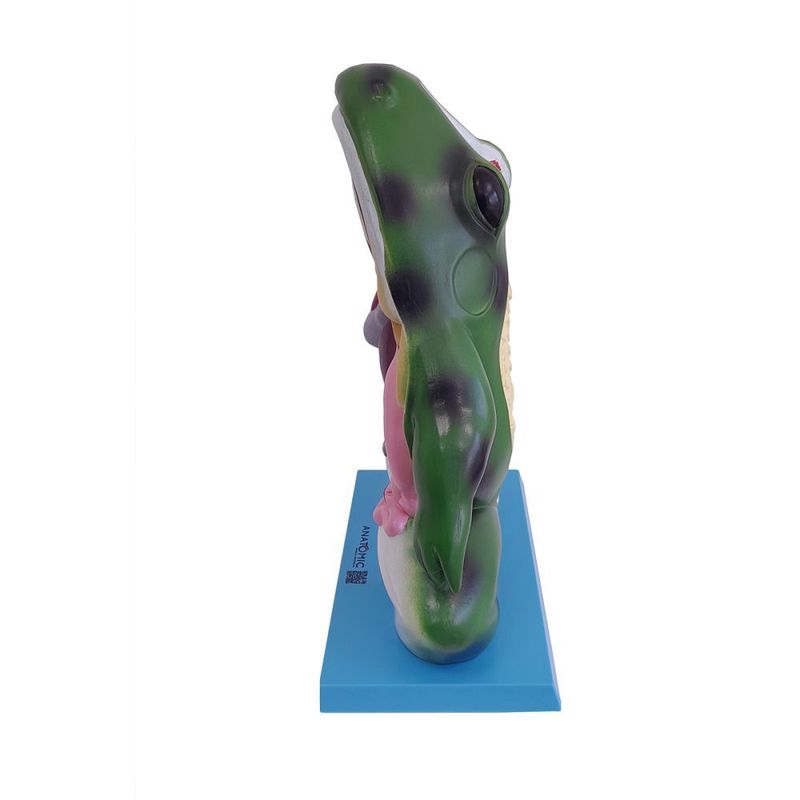 MKP001043000024-1