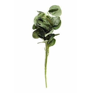 Folha De Eucalipto Planta Artificial Plástico Verde 46cm Flor Are
