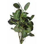 MKP005643001674-2