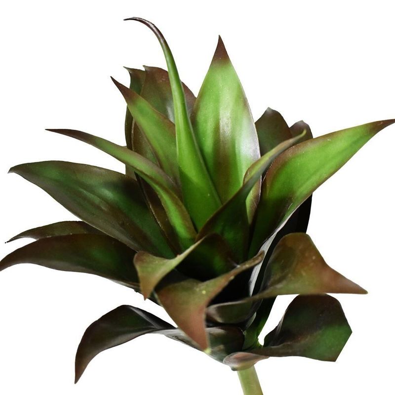 MKP005643001679-1