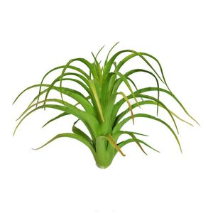 Suculenta Agave Verde Outono Flor Arte 14x11cm