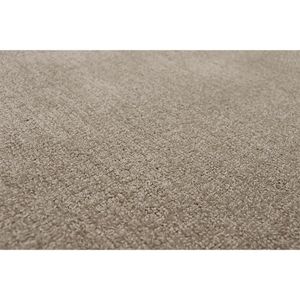 Tapete Para Sala Elegant Beige 1,00x1,50 São Carlos