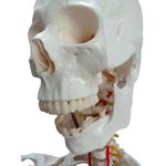 MKP001043001014-2