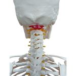 MKP001043001014-3
