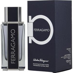 Perfume Masculino Ferragamo Edt 100 Ml