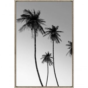 Quadro Decorativo De Canvas Palm Beach A 60 X 90cm - Visage