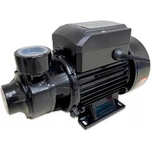 Motobomba Periférica Bivolt Ep-100b 1cv Eletroplas