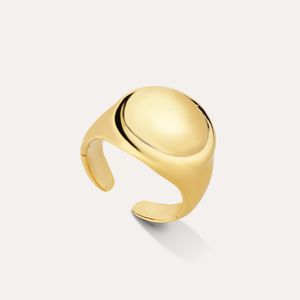 Anel Redondo Mindinho Semijoia Ouro Aro 13