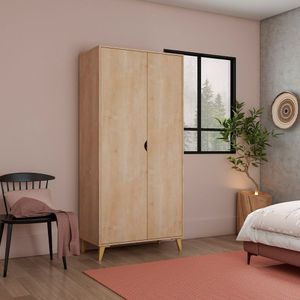 Guarda Roupa 2 Portas Com Cabide Puma Amadeirado