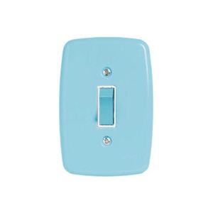 Interruptor De 1 Tecla Simples Com Placa 4x2 Azul