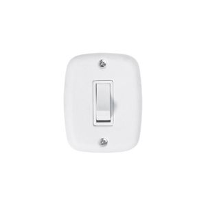 Interruptor De 1 Tecla Simples Com Placa 4x2 Branco