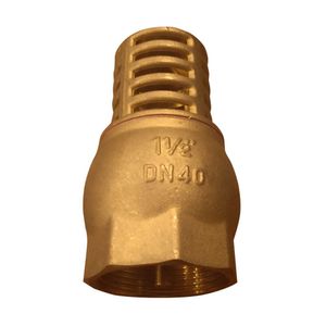 Válvula De Retenção Vertical De Poço 1.1/2